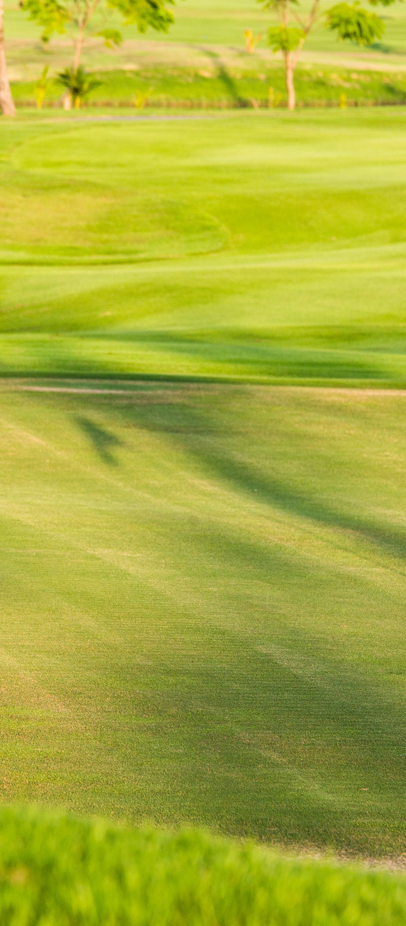 Augusta Residents Launch Amateur Golf Careers: Essential Rules and First Steps