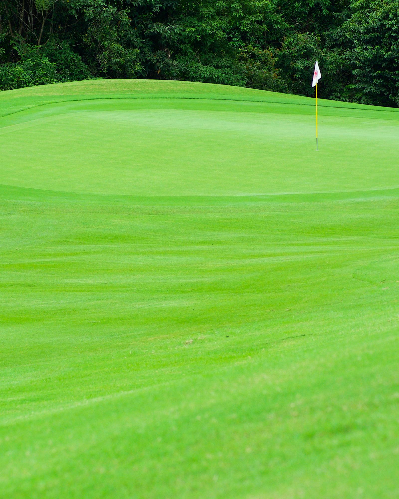 Augusta's Golf and Baseball Facilities Anchor Year-Round Sports Scene