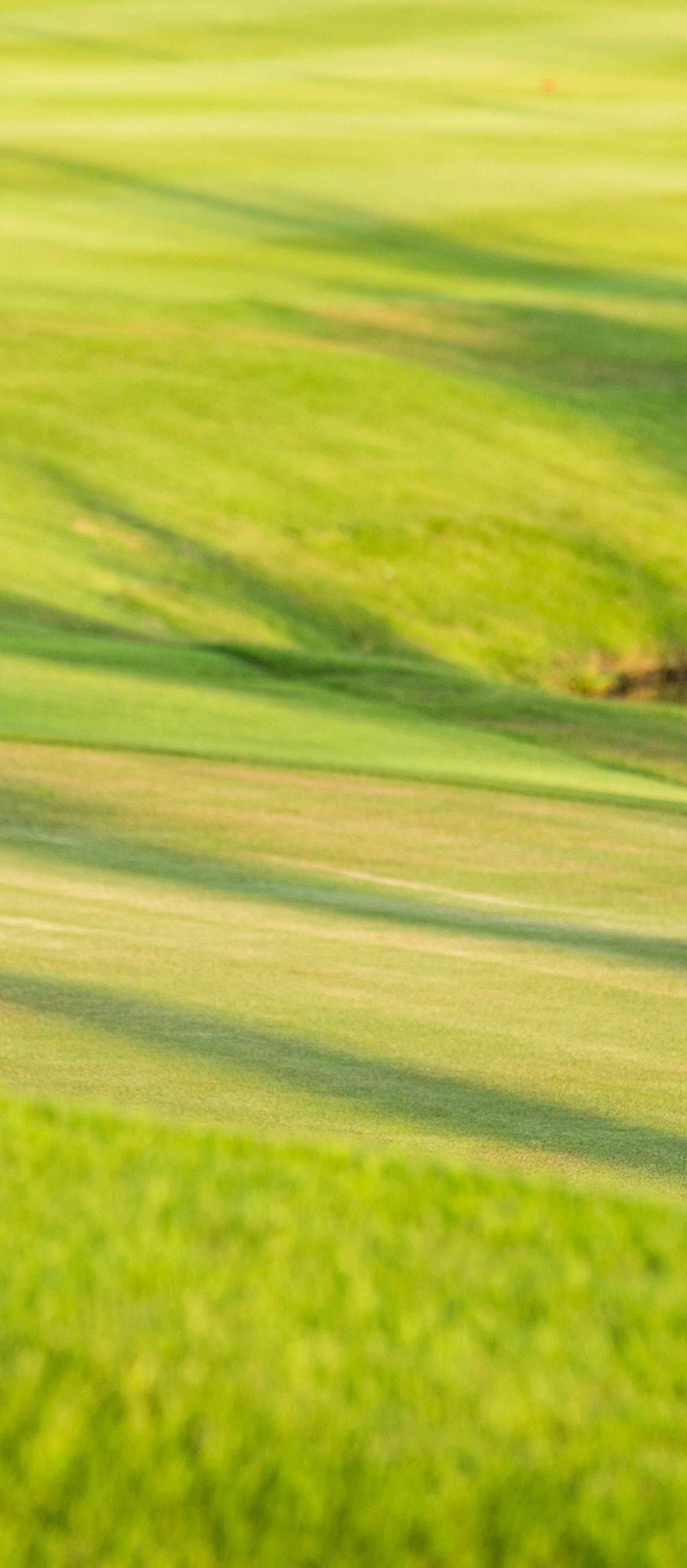 Augusta University Golf Teams Join West Coast Conference Next Season